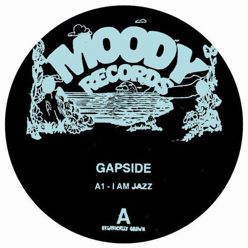 Gapside / Encuentros: Gapside / Encuentros - VINYL LP