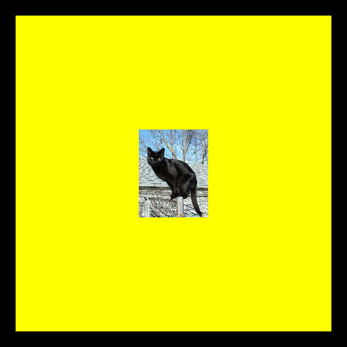 Pitto: Panthers on the Roof - VINYL LP