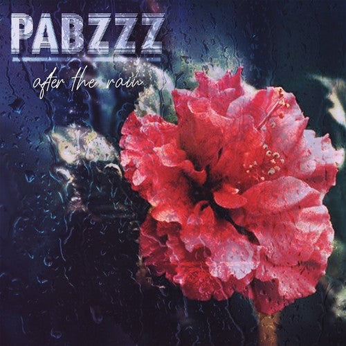 Pabzzz: After The Rain - VINYL LP