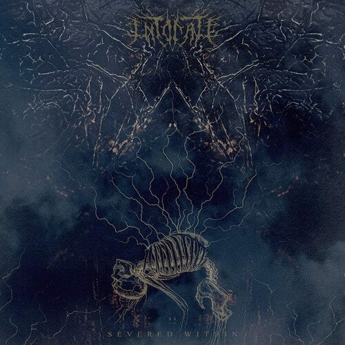 Intonate: Severed WIthin - COMPACT DISCS
