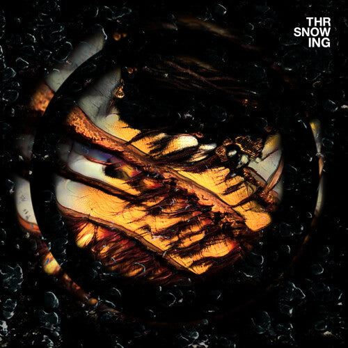 Throwing Snow: Dragons - VINYL LP