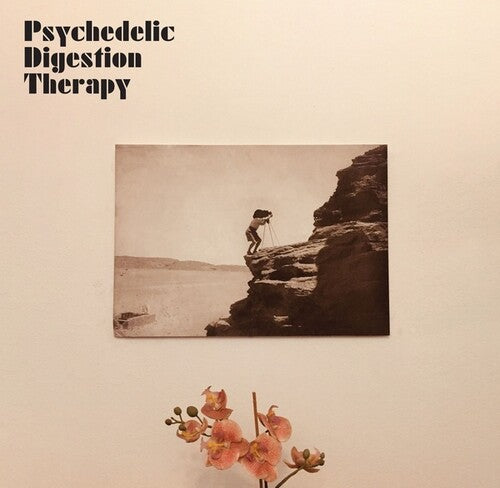 Psychedelic Digestion Therapy: Psychedelic Digestion Therapy - VINYL LP