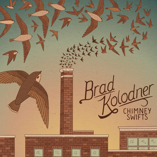 Brad Kolodner: Chimney Swifts - COMPACT DISCS