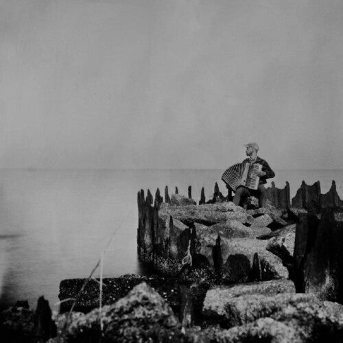 Walt McClements: A Hole In The Fence - VINYL LP