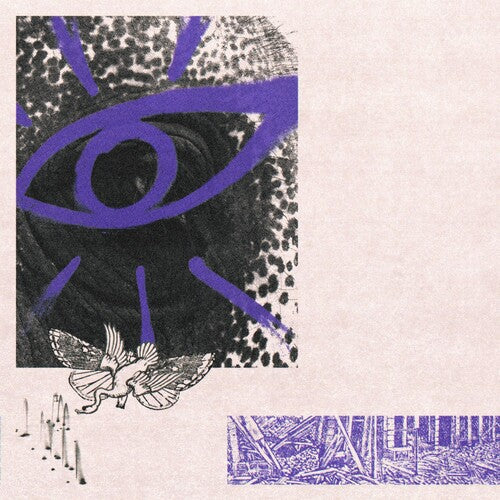 Hippo Campus: Lp3 - CASSETTES