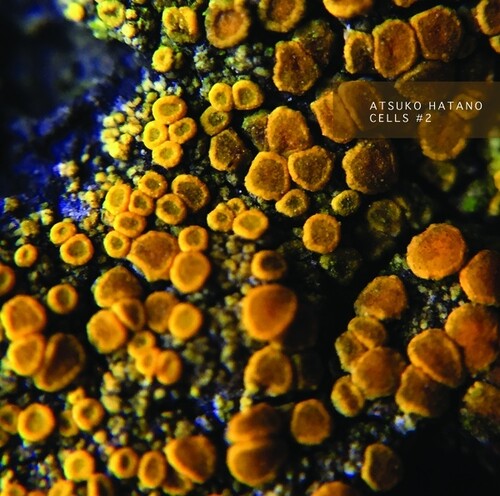 Atsuko Hatano: Cells 2 - CASSETTES