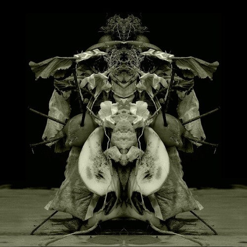 Gurun Gurun: Uzu Oto - VINYL LP
