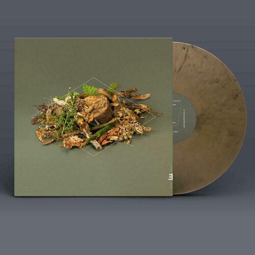 Fergus McCreadie: Forest Floor - VINYL LP