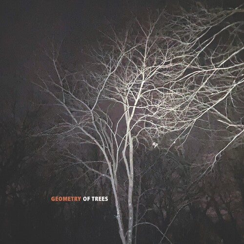 Tomeka Reid: Geometry Of Trees - COMPACT DISCS