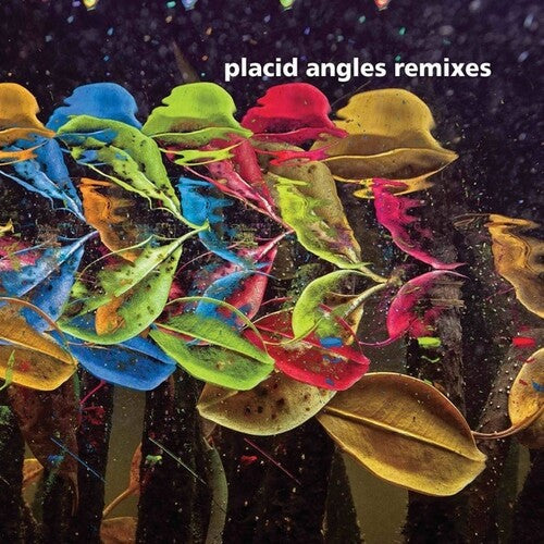 Placid Angles: Touch The Earth Remixes - 12-INCH SINGLE