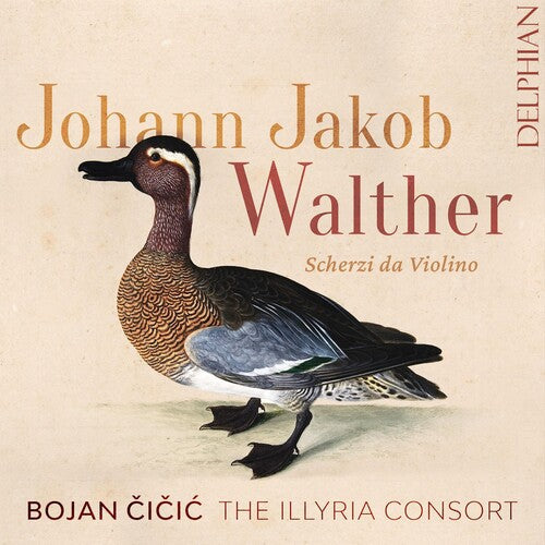 Bojan Cicic: Johann Jakob Walther: Scherzi Da Violino Solo - COMPACT DISCS