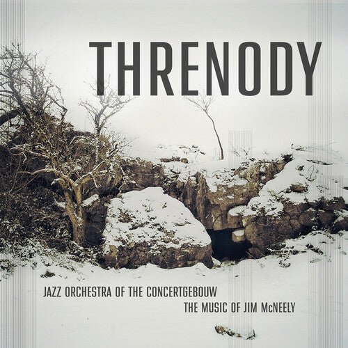 Jazz Orchestra of the Concertgebouw: Threnody - COMPACT DISCS