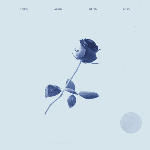 Y Bulbul / Yumurta: Not One, Not Two - VINYL LP