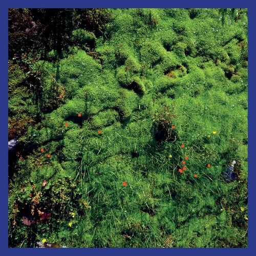 Matthias Puech: Mt. Hadamard National Park - VINYL LP
