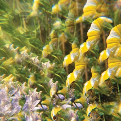 Imaginary Softwoods: The Notional Pastures Of Imaginary Softwoods - VINYL LP