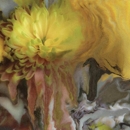 Parker Millsap: Wilderness Within You - COMPACT DISCS