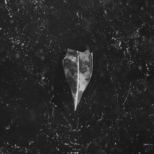 Bees Made Honey in the Vein Tree: Aion - COMPACT DISCS