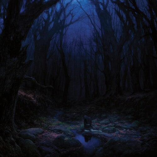 Woods of Desolation: Torn Beyond Reason - VINYL LP