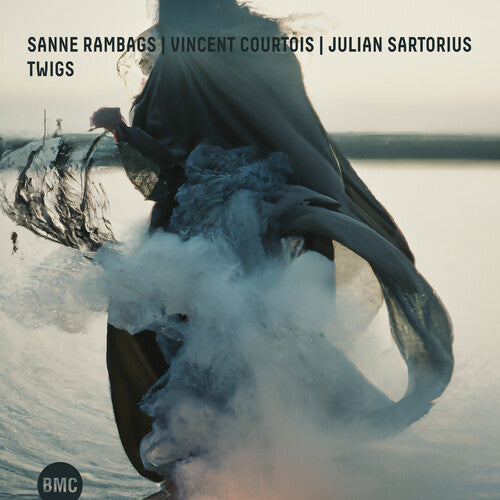 Rambags, Sanne / Courtois, Vincent: Twigs - COMPACT DISCS