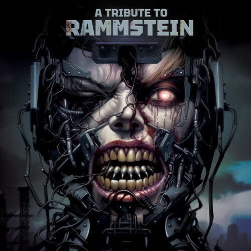 Various Artists: A Tribute To Rammstein (Various Artists) - VINYL LP