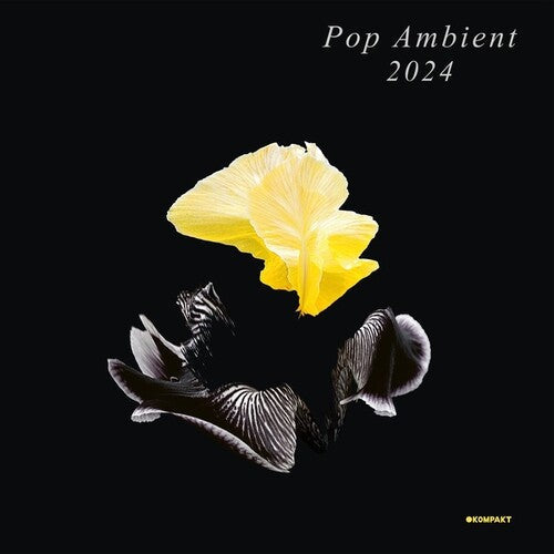 Various Artists: Pop Ambient 2024 - VINYL LP
