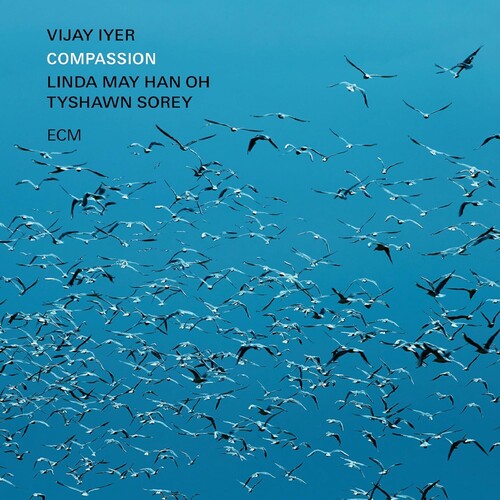 Vijay Iyer: Compassion - COMPACT DISCS