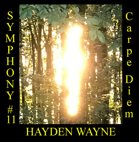 Hayden Wayne: Symphony #11: Carpe Diem - COMPACT DISCS