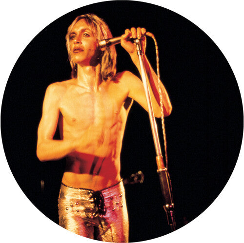 Iggy & The Stooges: More Power - VINYL LP