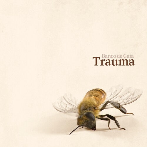 Banco de Gaia: Trauma - VINYL LP