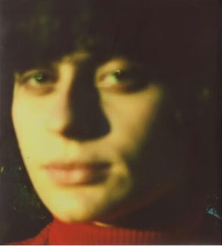 Ana Frango Eletrico: Little Electric Chicken Heart - COMPACT DISCS