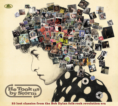 Various Artists: He Took Us By Storm: 25 Lost Classics From Bob Dylan Folk-Rock / Var - COMPACT DISCS