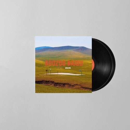 Bajou, Boozoo: Grains (15th Anniversary) - VINYL LP