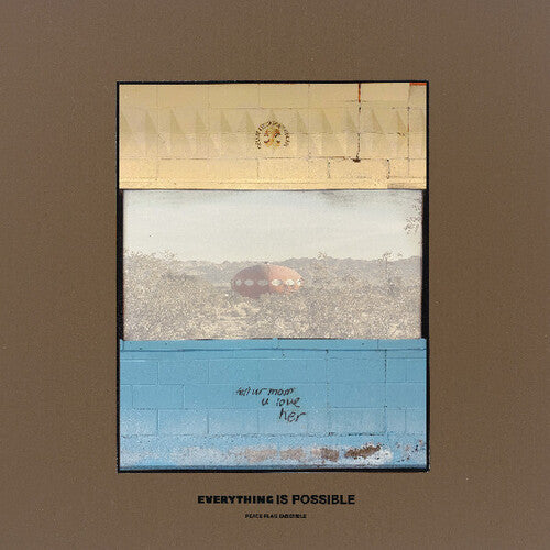 Peace Flag Ensemble: Everything Is Possible - VINYL LP