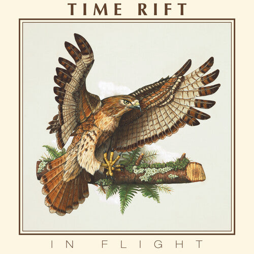 Time Rift: In Flight - VINYL LP