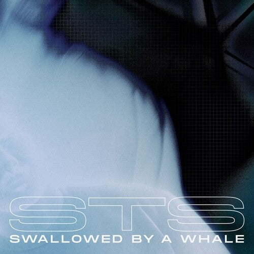 STS: Swallowed By A Whale - 12-INCH SINGLE