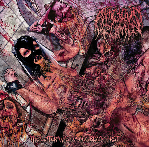 Fatuous Rump: Water Was Coming Black First - COMPACT DISCS