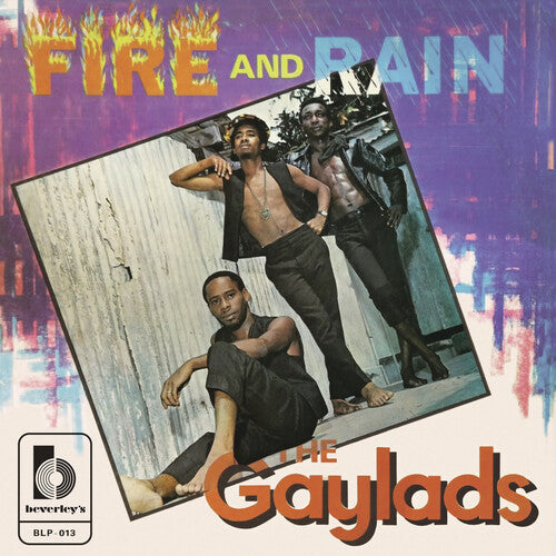 The Gaylads: Fire And Rain - VINYL LP