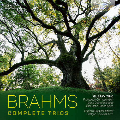 Simone Vallerotonda: Brahms: Complete Trios - COMPACT DISCS