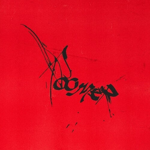 Roomer: Leaving It All To Chance - VINYL LP