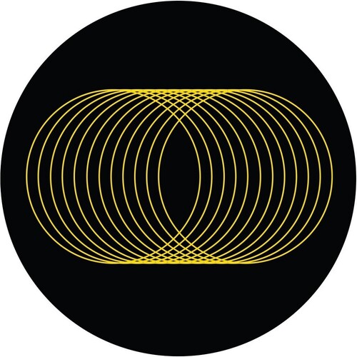 Mita Gami & Erez: Where's My Voice? - 12-INCH SINGLE