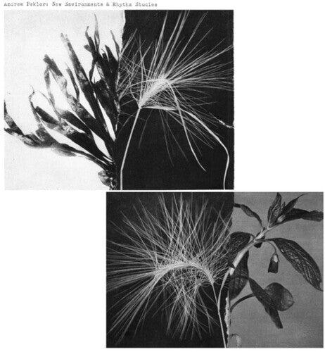 Andrew Pekler: New Environments And Rhythm Studies - VINYL LP