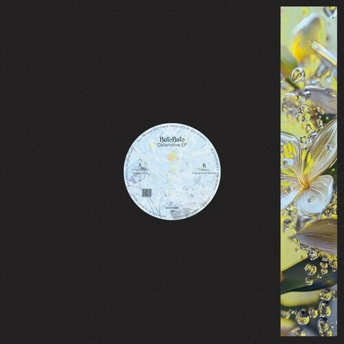Bufobufo: Celandine - 12-INCH SINGLE