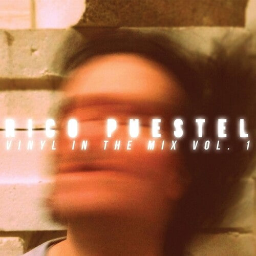 Rico Puestel: Vinyl In The Mix, Vol. 1 - COMPACT DISCS