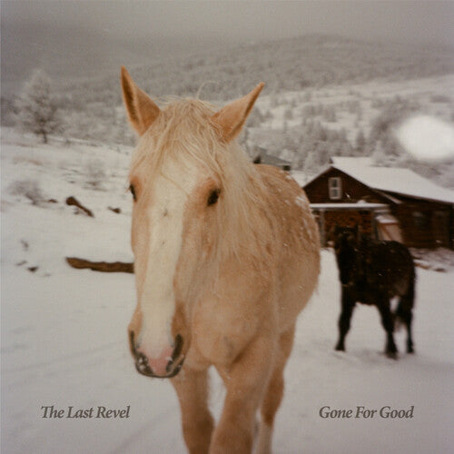 Last Revel: Gone For Good - COMPACT DISCS