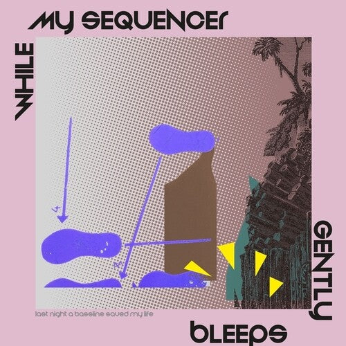 While My Sequencer Gently Bleeps: Last Night A Bassline Saved My Life - 12-INCH SINGLE