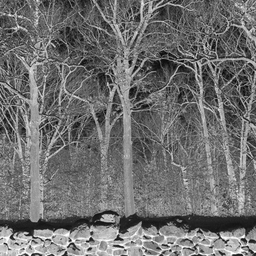 Pile: Sunshine and Balance Beams - COMPACT DISCS