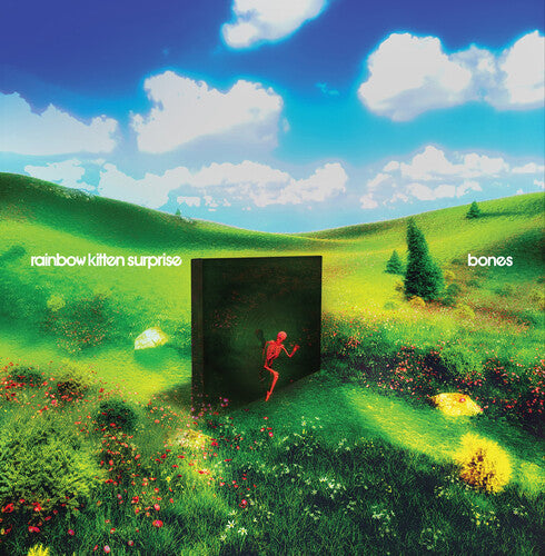 Rainbow Kitten Surprise: bones - COMPACT DISCS