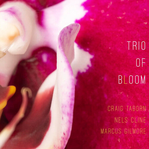 Trio of Bloom: Trio Of Bloom - COMPACT DISCS