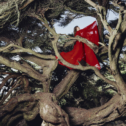 Hannah Frances: Nested In Tangles - COMPACT DISCS