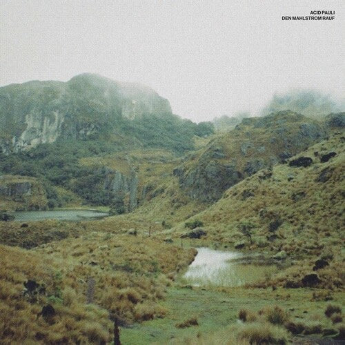 Acid Pauli: Den Mahlstrom Rauf - 12-INCH SINGLE